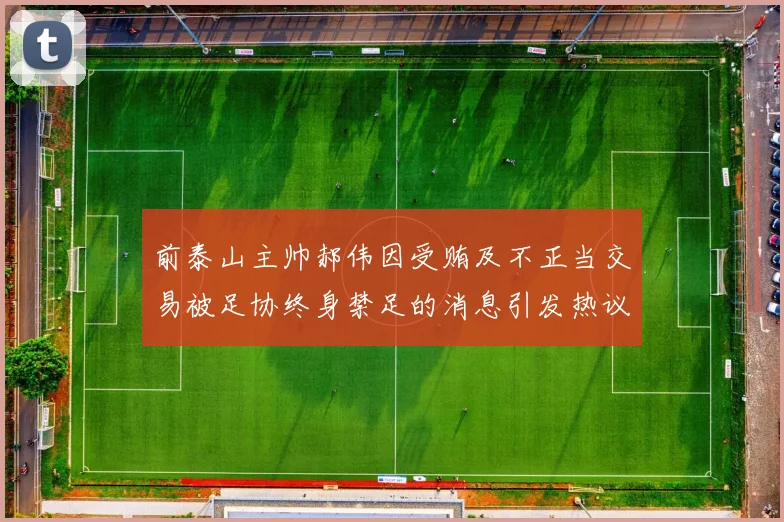 前泰山主帅郝伟因受贿及不正当交易被足协终身禁足的消息引发热议