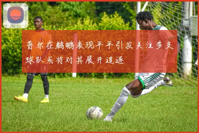 普尔在鹈鹕表现平平引发关注多支球队或将对其展开追逐